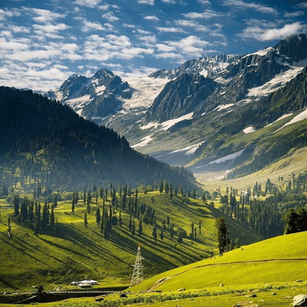 The lush green meadows of the doodhpathri.