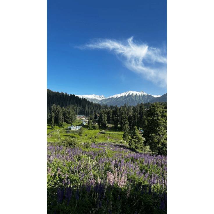 A breathtaking view of Kashmir's serene landscapes, showcasing lush green valleys, snow-capped mountains, and tranquil lakes like Dal Lake, epitomizing the beauty of the region.